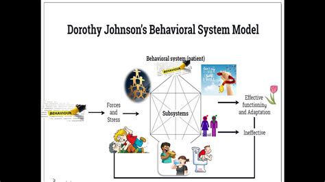 Nursing Theories Dorothy Johnson S Behavioural System Model Youtube