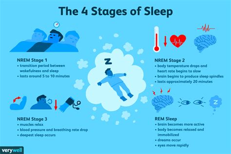Sleep (NREM and REM Sleep Cycles  | Stages of sleep, Rem sleep, Rem sleep cycle