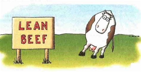 Cow Pun Far Side Cartoons Funny Cartoons Funny Comics Wednesday