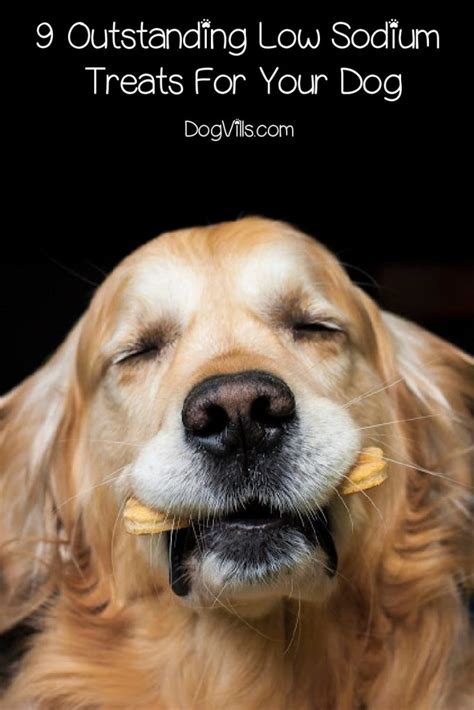 Sodium can be dangerous for dogs, and most low sodium dog food options on the market are very good for pets. 9 Outstanding Low Sodium Treats For Your Dog - DogVills