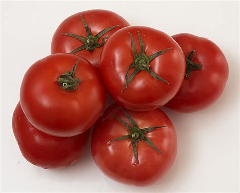 Tomato Mountain Fresh Hybrid Milaegers