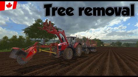 Field 2 Tree Removal Ep 120 Coldborough Park Farm Fs17 Youtube
