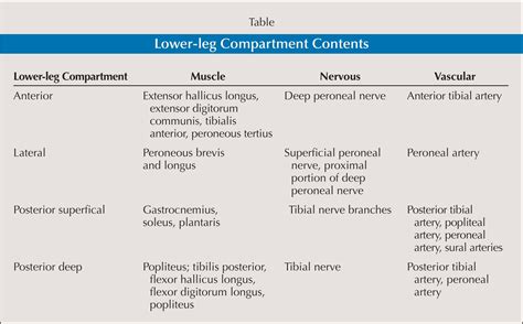 Acute Lower Leg Compartment Syndrome Orthopedics Compartment