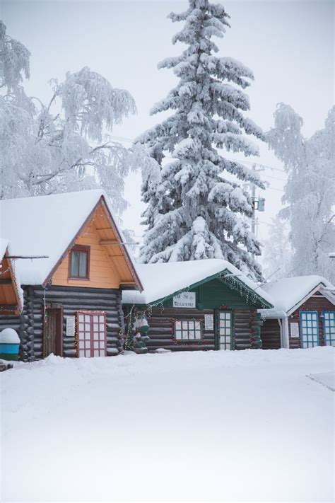 Maybe you would like to learn more about one of these? 834 best Alaska Cabin images on Pinterest | Adventure ...
