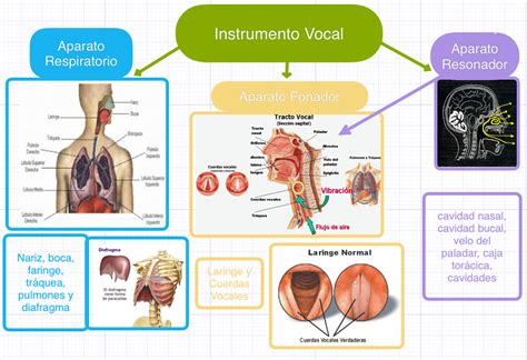 Este Pin Muestra La Importancia Que Tiene La Respiración Para Lograr La