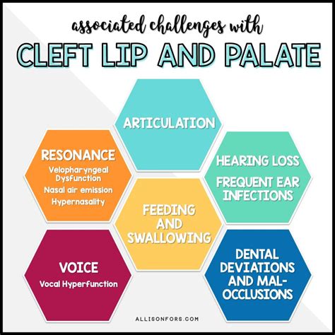 Cleft Lip And Palate Speech Therapy Intervention Allison Fors