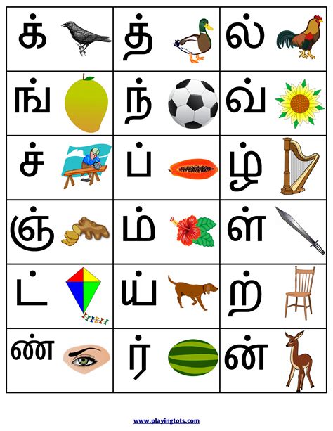 மெய் எழுத்துக்கள்tamil Consonants Mei Ezhuthukkal Chart With