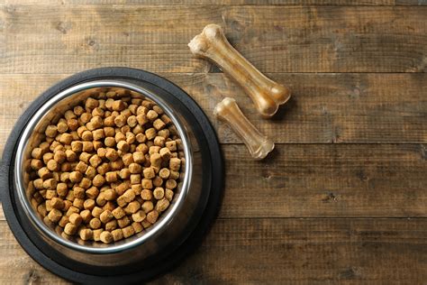 Switching dog food can be healthy and relatively simple if your dog's dietary needs change. What Is The Difference Between Adult Dog Food And Puppy Food?