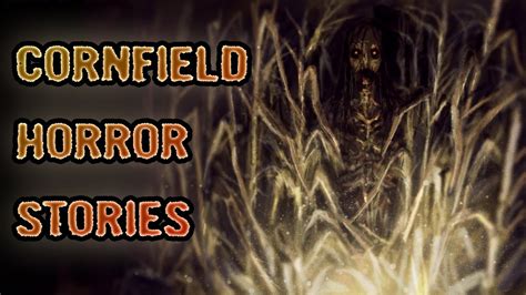3 True Freaky Cornfield Horror Stories Youtube
