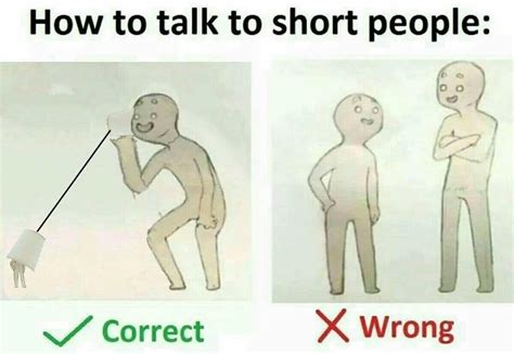 Find and save how to talk to short people memes | from instagram, facebook, tumblr, twitter & more. 16 Tips For Talking To Short People That You Didn't Know You Needed