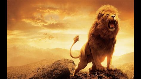 The King Of The Jungle The Lion Wild World 001 Youtube