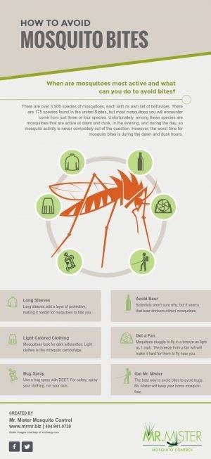When Are Mosquitoes Most Active Mr Mister Mosquito Control