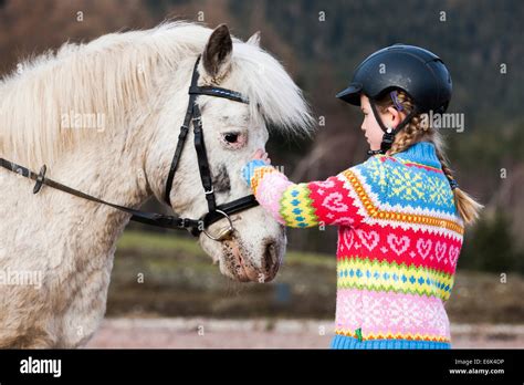 Girl Petting A Pony Gray With A Bridle Tyrol Austria Stock Photo