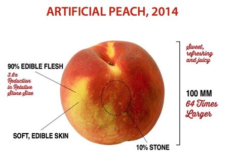 Heres What Fruits And Vegetables Looked Like Before We Domesticated