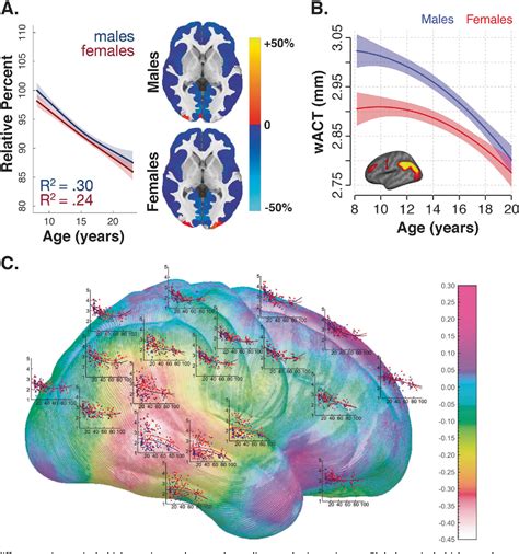 Pdf Sex Differences In The Developing Brain Insights From Multimodal