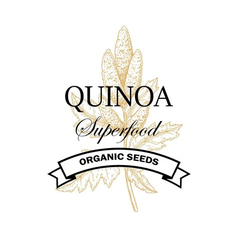 Quinoa Vintage Logo With Hand Drawn Element Vector Illustration In