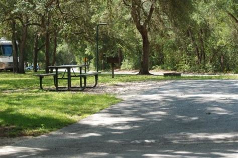Lots of dogs but required to be leashed. Ocala National Forest Salt Springs Campground, Salt ...