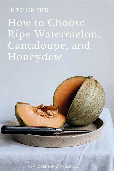 How To Pick A Ripe Melon Foolproof Guide Andersongrant
