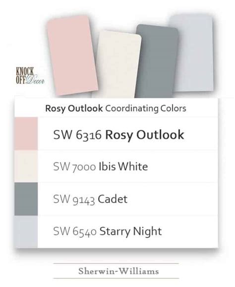 Sherwin Williams Rosy Outlook Review A Calming Girly Pink To Make You