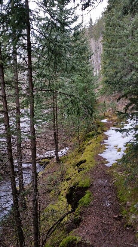 Still snow! | Colorado travel, Country roads, Trip