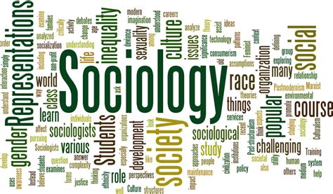 Why Is Studying Sociology Important For Society Sociology Medical