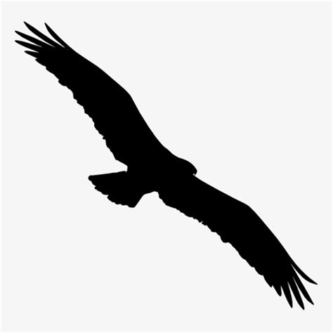 Download High Quality Eagle Clipart Silhouette Transparent Png Images