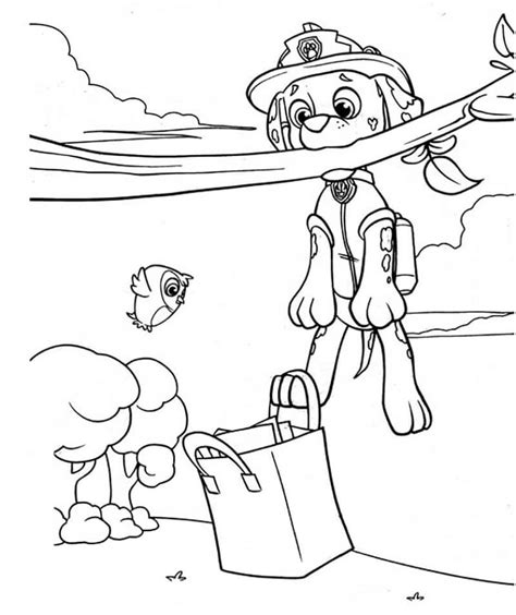 Paw Patrol Marshall Underwater Coloring Pages Cartoons Coloring Pages