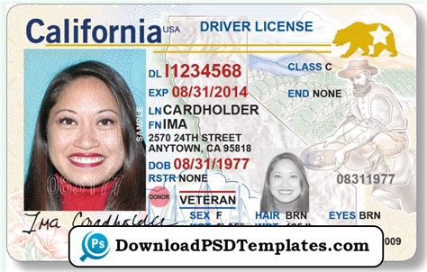 Usa Drivers License Template Psd Free Download