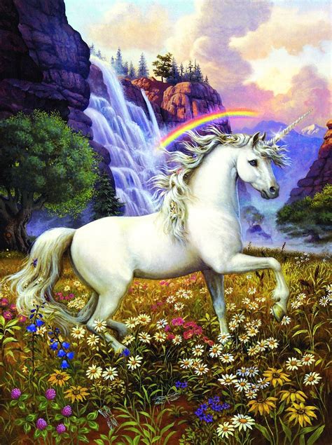 Unicorn Fantasy Quality Canvas Print 45cm Rainbow Daisies
