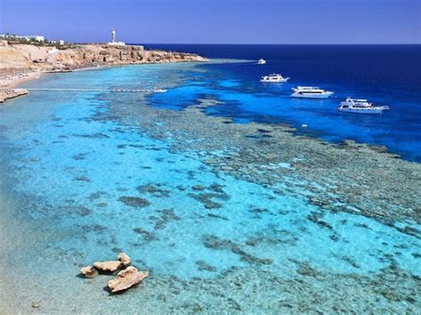Las Ciudades De Egipto Del Mar Rojo Hurghada Y Sharm El Sheij