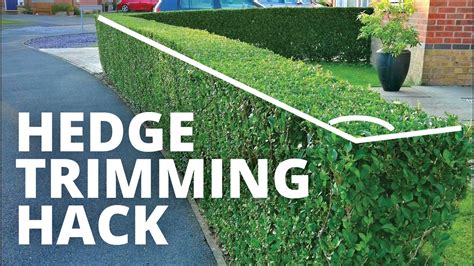 Hedge Trimming Hack Making It Quick And Easy To Cut Your Hedges Youtube