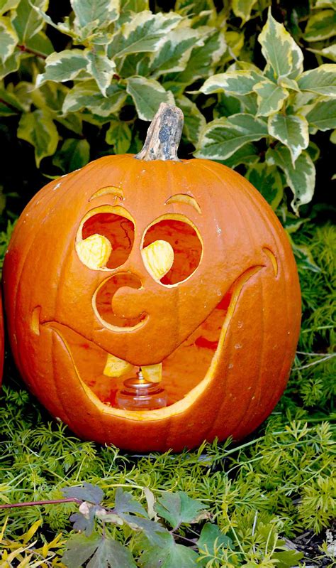 26 Easy Pumpkin Carving Ideas For The Best Jack O Lanterns On The
