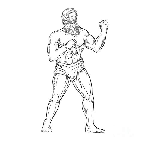 Bearded Boxer Fighting Stance Drawing Black And White Digital Art by