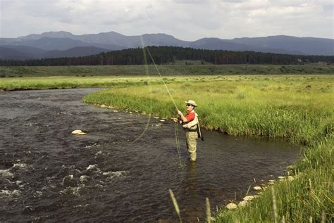 Fly Fishing On The Fraser River Grand County Colorado Summer