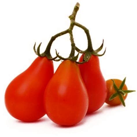 Red Pear Tomato Seeds Tomato Seeds Red Pear Heirloom Tomato Seeds