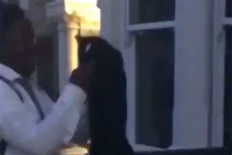 Shocking Moment Man Drop Kicks Cat On South London Street London