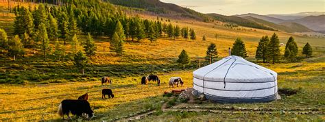 The 2020 inner mongolia protests is a protest caused by a curriculum reform imposed on ethnic schools by the china's inner mongolia department of education. LA IGLESIA CATÓLICA EN MONGOLIA.UNA IGLESIA SIN FORMACIÓN ...