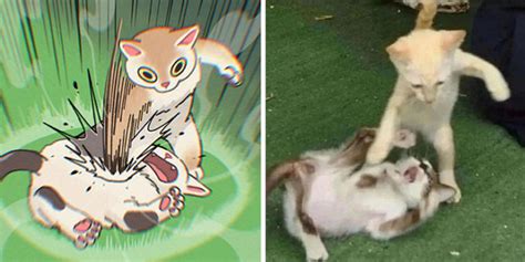 This Artist Recreates Funny Cat Images Into Comical Illustrations 31 Pics Demilked