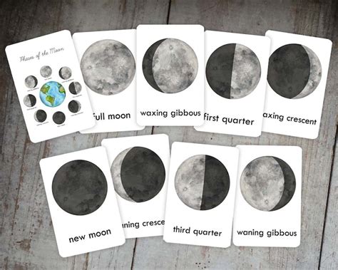 Moon Phases Printable Flash Cards Digital Download Nursery Etsy