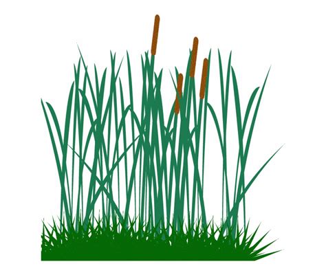 Tall Grass Clip Long Grass Vector Png Clip Art Library