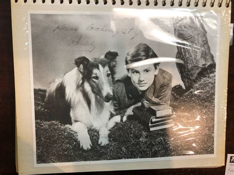 Roddy Mcdowall Autograph Lassie Action Shot Beck Auctions Inc