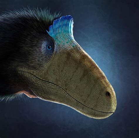 Cryolophosaurus By Juãn Carlos Alonso Prehistoric Animals