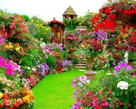 So Colorful Garden Beautiful Beautiful Gardens Beautiful Backyards