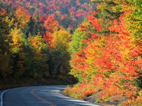 Drive The Scenic Kancamagus Highway In New Hampshire To Appreciate The