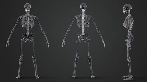 Skeleton Game Ready Flippednormals