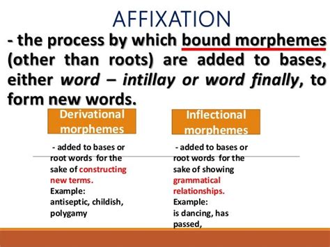 Affixation Compounding Multi Word Verbs