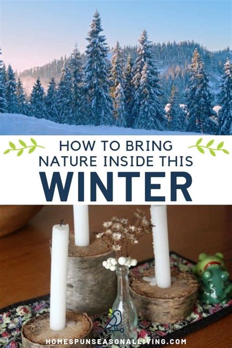 How To Bring Nature Inside This Winter Homespun Seasonal Living