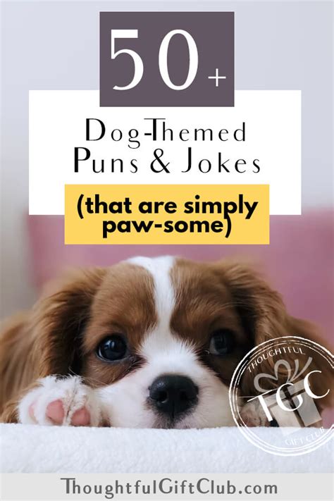 50 Dog Puns And Jokes For Instagram Captions That Are Simply Pawsome