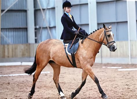 Pin On Side Saddle