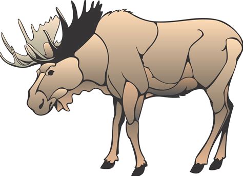 Free Moose Cartoon Images Download Free Moose Cartoon Images Png